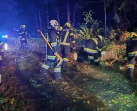 Fırtına Kärnten’i Vurdu: 1200 Ev Hâlâ Elektriksiz