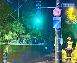 Fırtına Sonrası Salzburg'da Ağaç Yıkıldı, Yol Trafiğe Kapandı