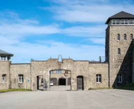 FPÖ Üyesi Gencin Amok Tehdidi: Hem Parti Hem Yargı Tepki Gösterdi