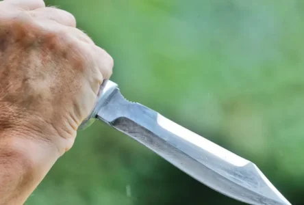 Graz’da Aile İçi Şiddet: Tartışma Anında Eşine Bıçak Fırlattı