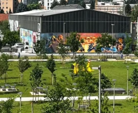 Graz'da Okulda Silahlı Saldırı: En Az 5 Kişi Hayatını Kaybetti