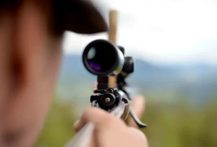 Graz’daki Saldırı Sonrası Avusturya’da Silah Yasası Sertleşiyor