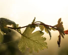 Hafta Sonu Hava Durumu: Güneş, Yağmur ve Şiddetli Fırtına Bekleniyor