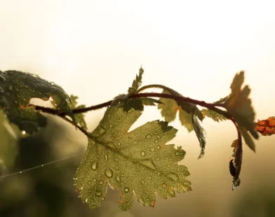 Hafta Sonu Hava Durumu: Güneş, Yağmur ve Şiddetli Fırtına Bekleniyor