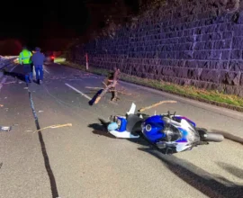 Innsbruck’ta Dehşet: Çürük Ağaç Motosikletçilerin Üzerine Düştü