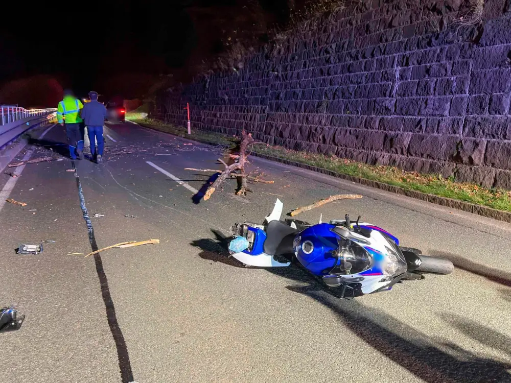 Innsbruck’ta Dehşet: Çürük Ağaç Motosikletçilerin Üzerine Düştü