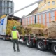 Innsbruck’un 6700 Euro’luk “lüks ağaçları” şehre geldi Innsbruck’un 6700 Euro’luk “lüks ağaçları” şehre geldi
