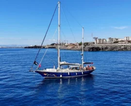 İsrail Ordusu, Thunberg’in Gazze’ye Yardım Gemisini Durdurdu