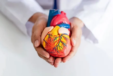 İsviçreli Bilim İnsanları 3D Baskılı Kalp Yaması Geliştirdi