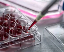 Kan Kodları ile Gençlik Mümkün mü? Bilim İnsanları Verjüngücü Tedaviler İçin Umut Veriyor