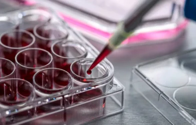 Kan Kodları ile Gençlik Mümkün mü? Bilim İnsanları Verjüngücü Tedaviler İçin Umut Veriyor