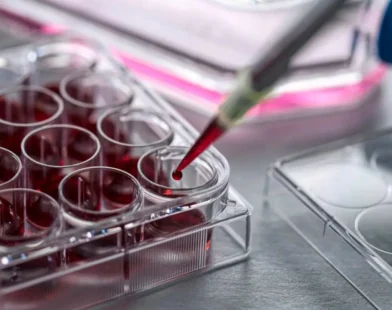 Kan Kodları ile Gençlik Mümkün mü? Bilim İnsanları Verjüngücü Tedaviler İçin Umut Veriyor