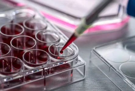 Kan Kodları ile Gençlik Mümkün mü? Bilim İnsanları Verjüngücü Tedaviler İçin Umut Veriyor