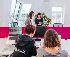 Kırsalda Yaşayan Kadınların İş Hayatındaki Yeri “Frau Ida” Projesiyle Güçleniyor