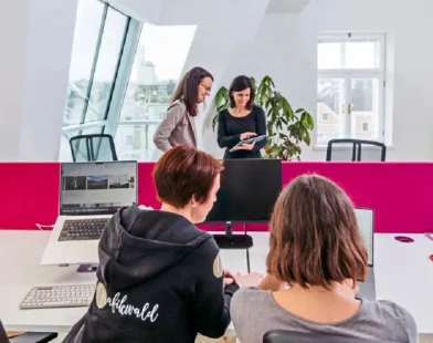 Kırsalda Yaşayan Kadınların İş Hayatındaki Yeri “Frau Ida” Projesiyle Güçleniyor