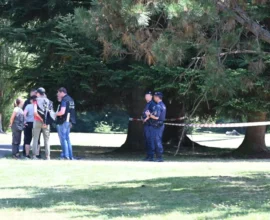 Klagenfurt’ta Doğal Parkta Korkunç Keşif: Ölü Bebek Bulundu