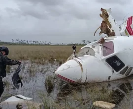 Kokain Yüklü Jet Bataklıkta Parçalandı, Kimse Bulunamadı