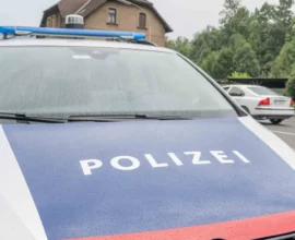 Leoben’de Kadın Cinayeti: 61 Yaşındaki Kadın 35 Bıçak Darbesiyle Öldürüldü