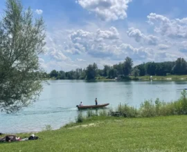 Linz’de 11 Yaşındaki Çocuk Göl Kenarında Köpek Saldırısına Uğradı