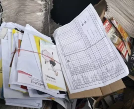 Linz’de Şok Olay: Postacı, Gazete ve Mektupları Çöpe Atmış!