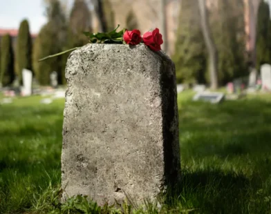 Linz’de Tüyler Ürperten Olay: Soylulara Ait Çocuk Tabutları Çalındı