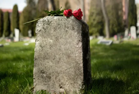 Linz’de Tüyler Ürperten Olay: Soylulara Ait Çocuk Tabutları Çalındı