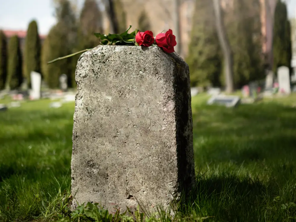 Linz’de Tüyler Ürperten Olay: Soylulara Ait Çocuk Tabutları Çalındı