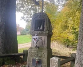 Litschau’da Tartışmalı Kamp Alanı Projesi: Yerel Halk ve Sanatçılar Ayakta