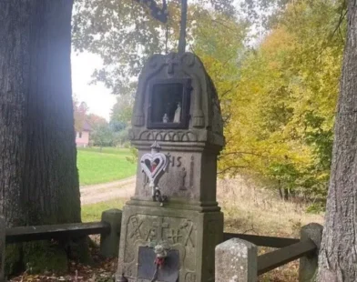 Litschau’da Tartışmalı Kamp Alanı Projesi: Yerel Halk ve Sanatçılar Ayakta