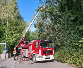 Lustenau’da 10 Metre Yükseklikte Tehlike: İtfaiye Çocukları Ağactan İndirdi