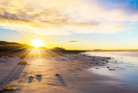 NASA Araştırması: 2001’den 2024’e Dünya Daha Az Işık Yansıtıyor