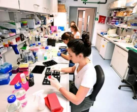 Nobel Ödülü Neden Aşağı Avusturya’ya Gelebilir? Mikl-Leitner’in Hayali Gerçekçi mi?