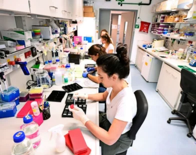 Nobel Ödülü Neden Aşağı Avusturya’ya Gelebilir? Mikl-Leitner’in Hayali Gerçekçi mi?