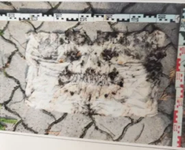 Oğuldan Şok İddia: “Babam Annemi Öldürdü”