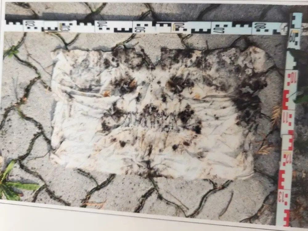 Oğuldan Şok İddia: “Babam Annemi Öldürdü”