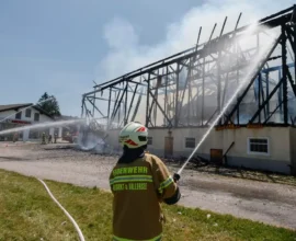 Ot Yakmak İsterken Milyonluk Çiftliği Yaktı