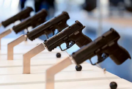 ÖVP, Silah Yasasındaki Sıkılaştırmanın Geriye Dönük Uygulanmasına Karşı