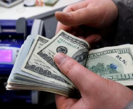 Python topluluğu ilkelere sadık kaldı: Trump yönetiminin anti-çeşitlilik şartlı 1,5 milyon $'lık hibesini reddetti