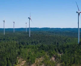 Rüzgar Türbini Referandumu Hatalı Formülasyon Nedeniyle Geçersiz Sayıldı