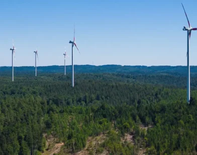Rüzgar Türbini Referandumu Hatalı Formülasyon Nedeniyle Geçersiz Sayıldı