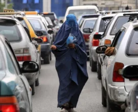 Sahte Evlilik Skandalı: Avusturya’da Yetkililer Büyük Hata Yaptı!