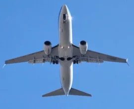 Salzburg Havalimanında Hırsızlık Şüphelisi Türk Gözaltına Alındı