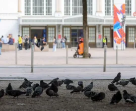 Salzburg’da Bira Şişesiyle Saldırı: Zanlı Yakalandı