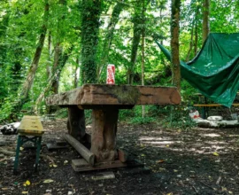 Salzburg’da Doğa Alanı Çöplüğe Döndü: Kaçak Partiler Tepki Çekiyor