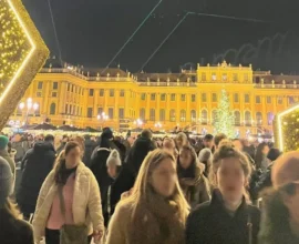 Schönbrunn Noel Pazarı Açılışında Yoğunluk: U-Bahn ve Otoparklar Taştı