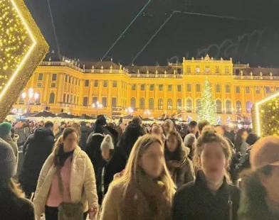 Schönbrunn Noel Pazarı Açılışında Yoğunluk: U-Bahn ve Otoparklar Taştı