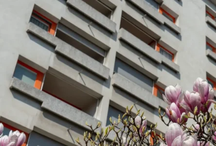 Silahlı Alarm Viyana’yı Ayağa Kaldırdı: WEGA Ekibi Operasyon Başlattı