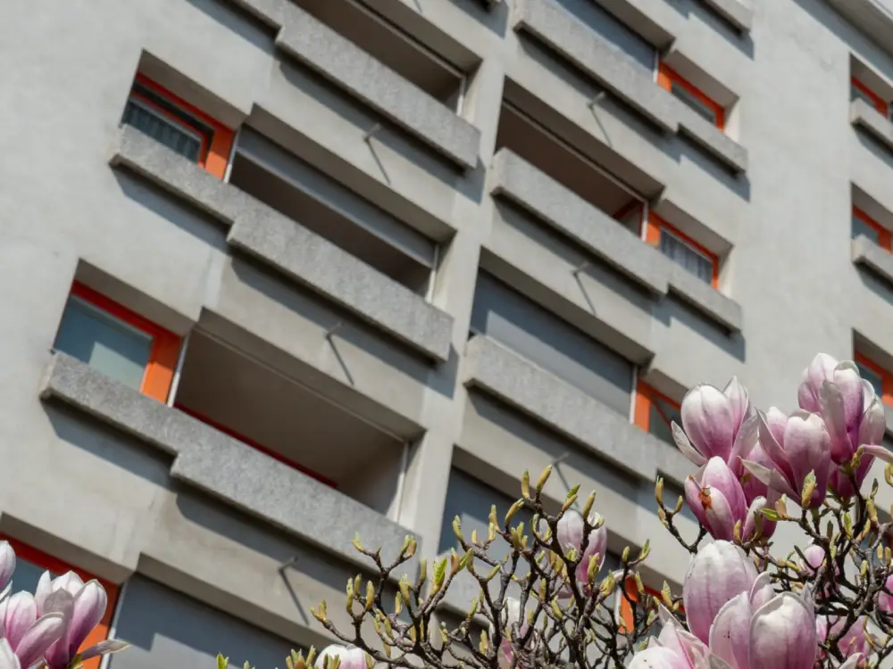 Silahlı Alarm Viyana’yı Ayağa Kaldırdı: WEGA Ekibi Operasyon Başlattı