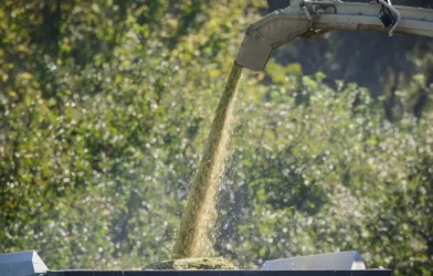 Silo Gazı Faciası: Yaşlı Adam Bodrumda Bilincini Kaybetti Silo Gazı Faciası: Yaşlı Adam Bodrumda Bilincini Kaybetti