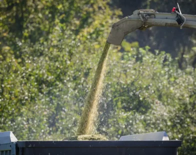 Silo Gazı Faciası: Yaşlı Adam Bodrumda Bilincini Kaybetti